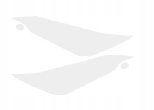 Защитная пленка лампы фары LEXUS NX бесцветная