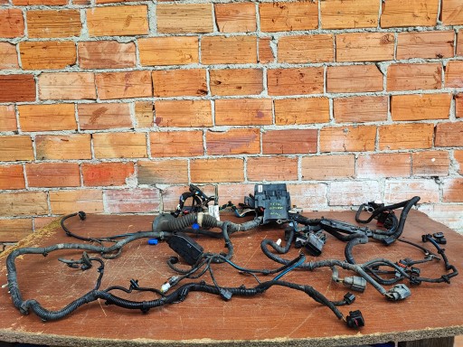 Монтаж джгута двигуна Ford Ecosport 2 1.5 TDCI DN1T-14K012-DE