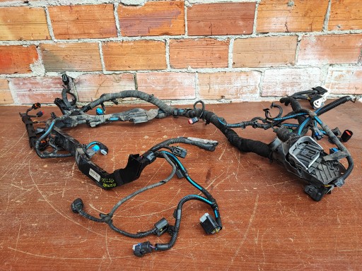 DN1T-12A522-ADG - Монтаж джгута двигуна Ford Ecosport 2 1.5 TDCI