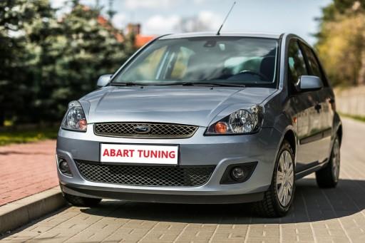 Ford Fiesta MK6 Lift брови лампы