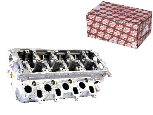 VW10ES - АШИКА ГОЛОВА