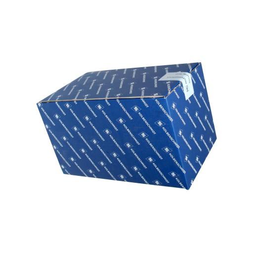 ГОЛОВКА ДВИГУНА 50003175 KOLBENSCHMIDT NISSAN