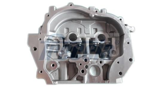 ГОЛОВКА ДВИГАТЕЛЯ RENAULT LAGUNA 2.0DCI 05 CH17-1045 FRECCIA