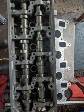 Skoda Octavia 2011 1.6 TDI голова