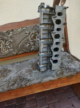 Голова после регенерации