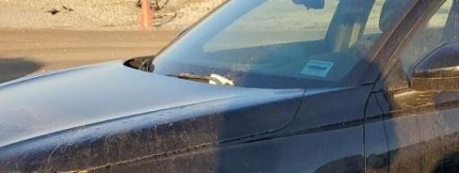 Honda Civic XI 2022 США