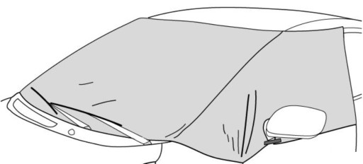 Hyundai i10 (2020-) Sun Ice Shield