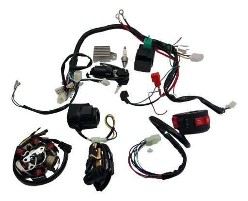 111-315 111-33 - ЭЛЕКТРОМОНТАЖ QAD ATV 110 125 В КОМПЛЕКТЕ