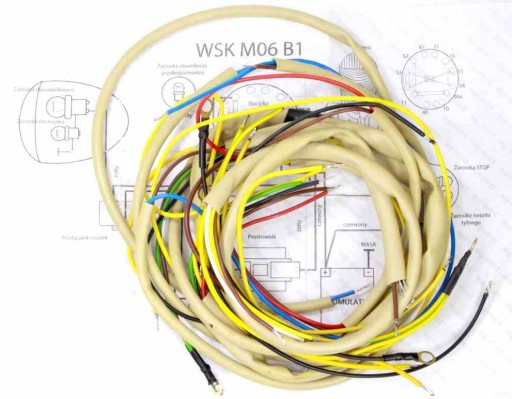 ROY24421 - Электропроводка WSK 125 M06-B1 AG