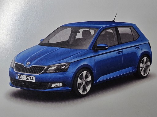 Skoda Fabia 2015 инструкция + чехол, PL