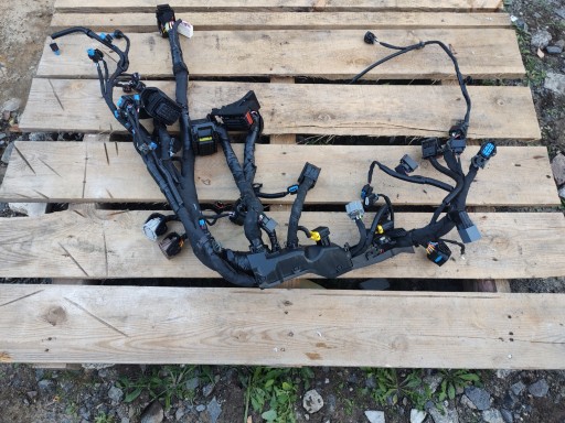 Kia Niro II 22 - джгут електропроводки двигуна PLUG IN