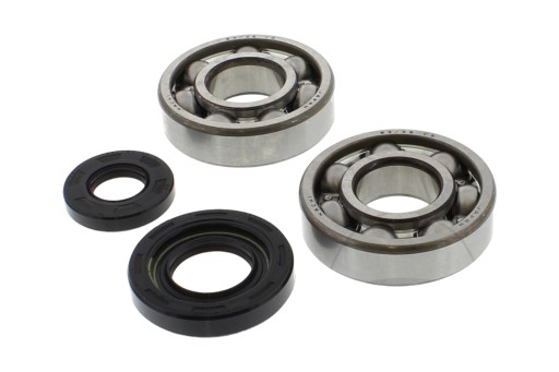 CBK-031 - Комплект подшипников вала Tourmax с уплотнениями