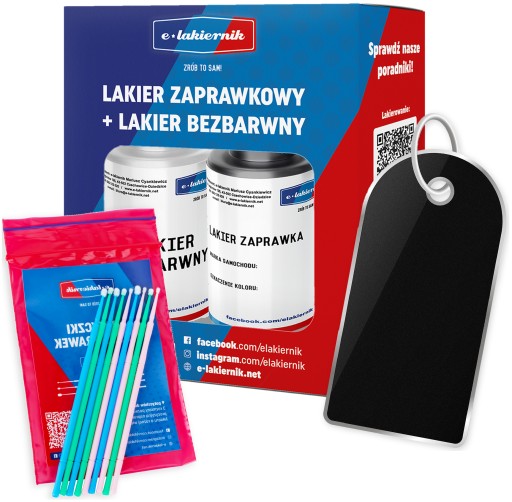 КОЛЬОРОВА РЕТУШОВА ФАРБА AUDI LZ9Y СТИКИ