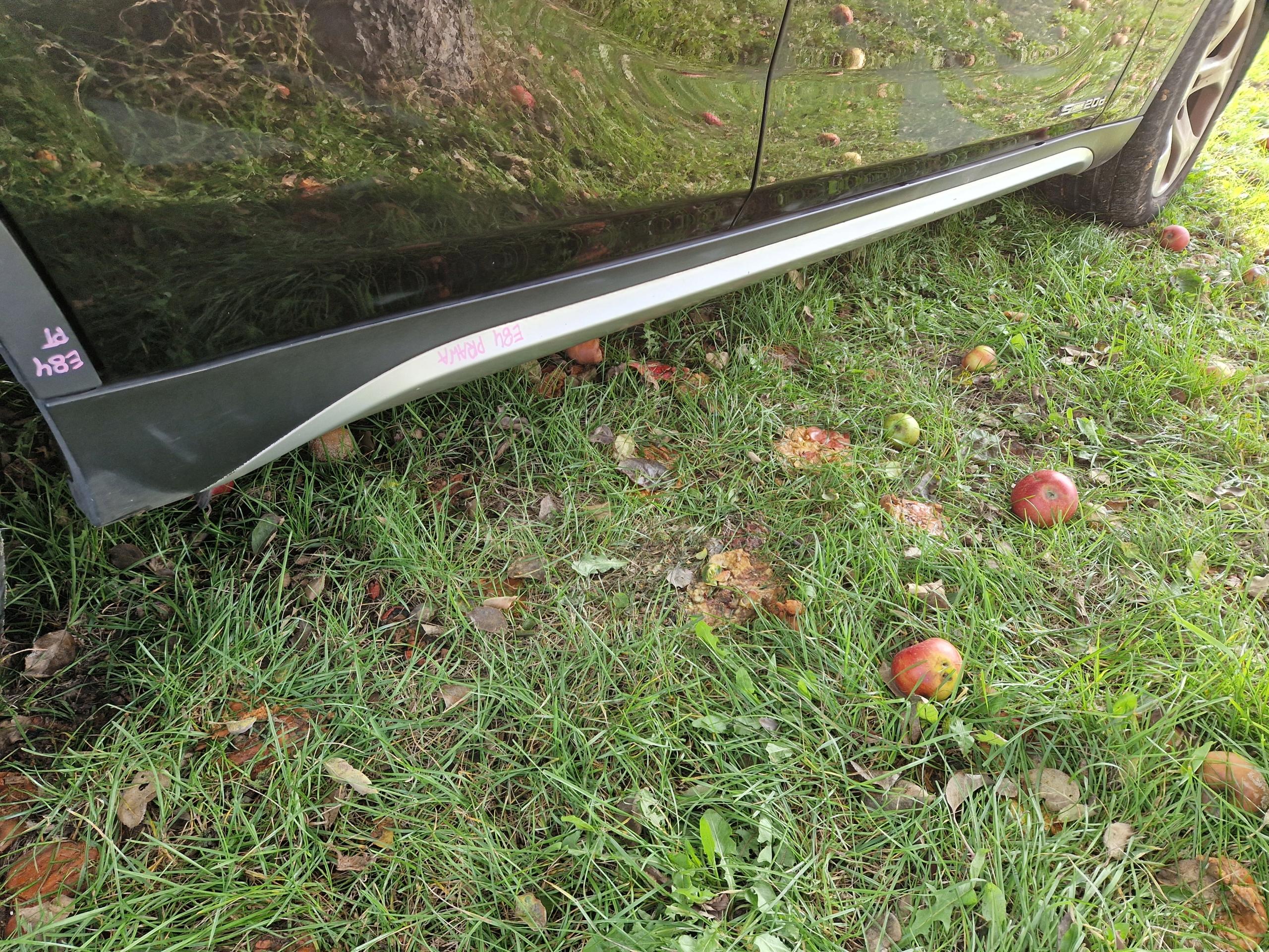 Педаль порога П BMW X1 E84 OE