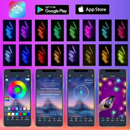 Светодиоды XXL освещение салона салона автомобиля