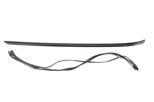 51317250395 - Водостічна планка ліва BMW E70 E70N