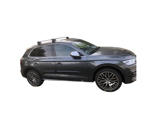 Бічні молдинги Audi Q5 II 2016 - 2024 SUV / SPORTBACK