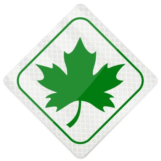 МАГНИТ ЛИСТ ЛИСТ СВЕТООТРАЖАЮЩИЙ ЗНАК СВЕЖИЙ ВОДИТЕЛЬ