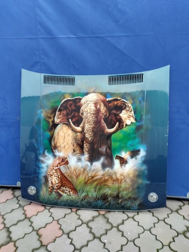 Декоративний автомобільний капот