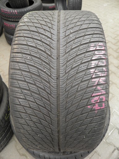 Michelin Pilot Alpin 5 295/30/21 102 В