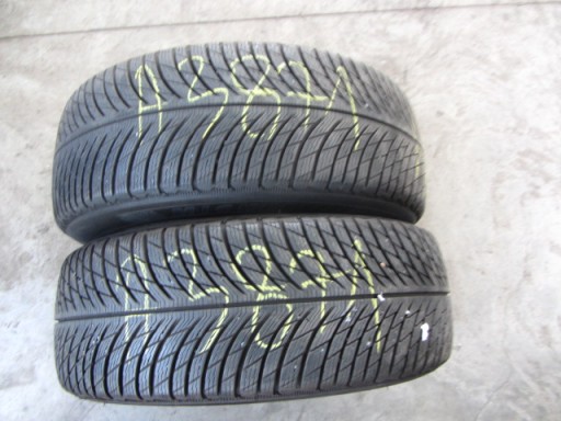 Michelin Pilot Alpin 5 225/55/18