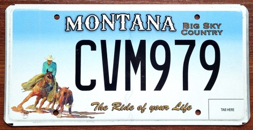 Монтана - номерной знак США