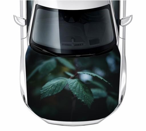 Наклейка на маску листья 150X115 см пленка 3М