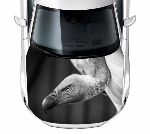 Наклейка на маску стервятника 150X115 см пленка 3М