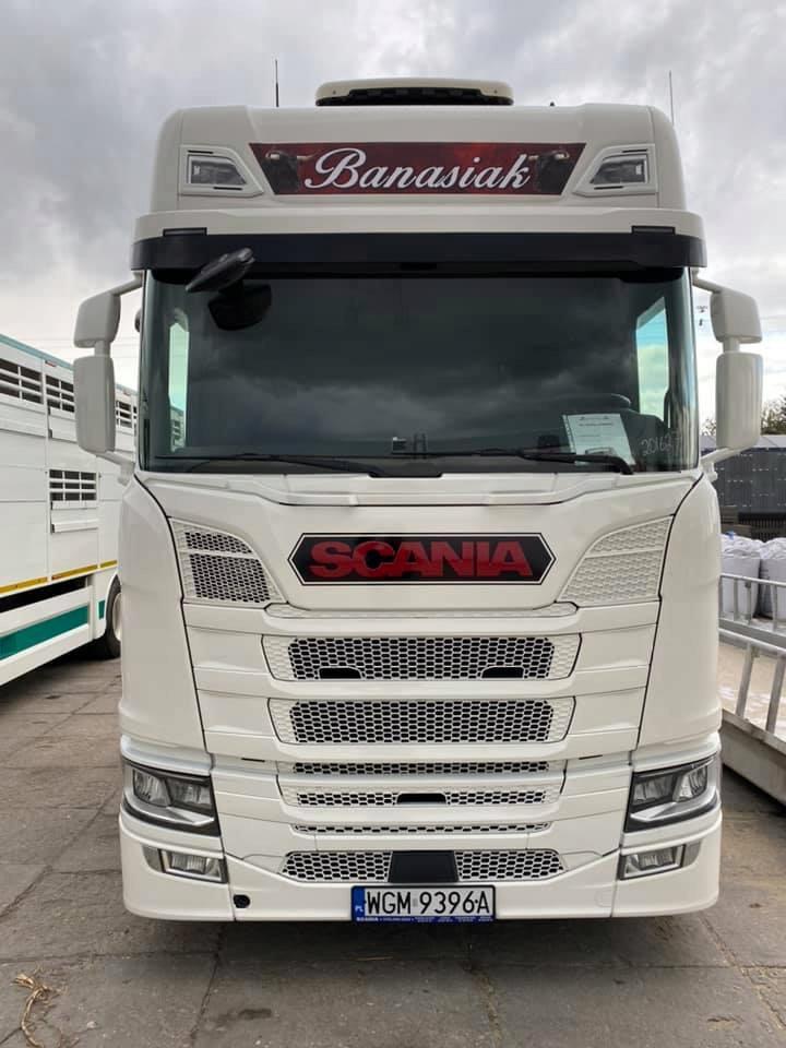 НАКЛЕЙКА ПОДЛОЖКА ПОД НАДПИСЬ SCANIA НОВАЯ МОДЕЛЬ STRAY
