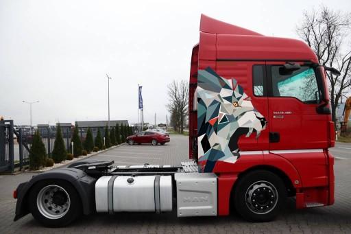 TGX человек наклейки супер набор наклейка тигр новый!