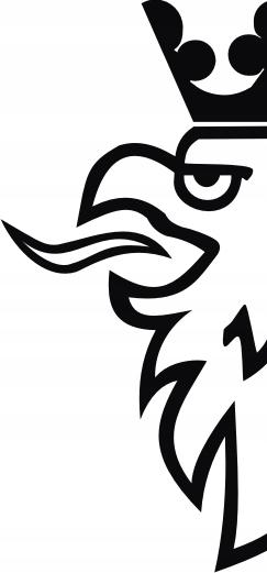 Наклейки - Scania гриф 75 x 170 см + бесплатно