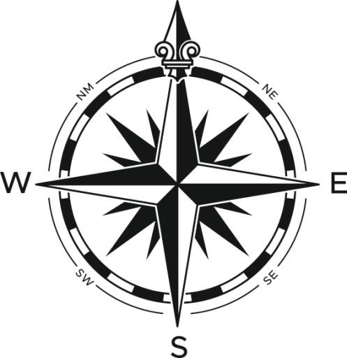 Наклейка Роза ветров v2_95x95cm _ полимер _ зеленый