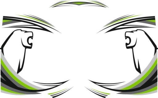 Наклейки MAN TGA TGX _ _ _ полімер _ V35 _ green