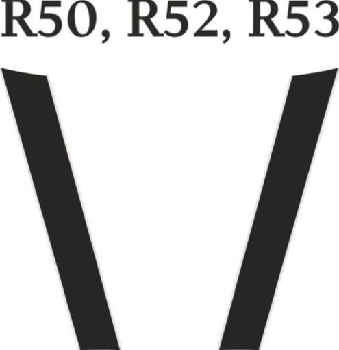 Наклейки Mini Cooper R50 / R53 Ремені Для капота 2цвета