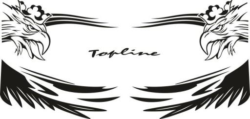 Наклейки шпон SCANIA TOPLINE_v12_green