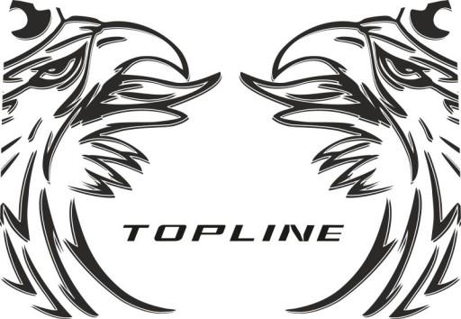 Наклейки шпон SCANIA TOPLINE_v15_green