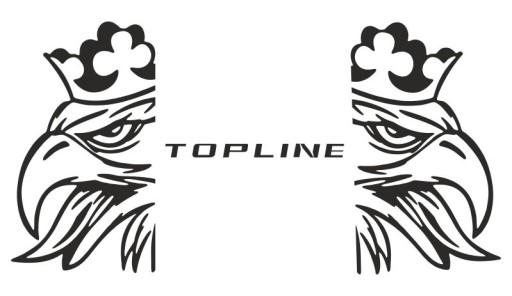 Наклейки шпон SCANIA TOPLINE_v1_green