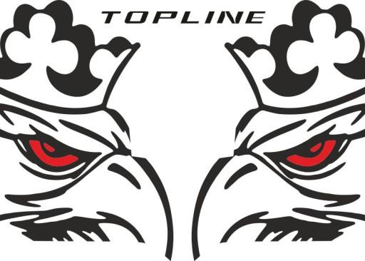 Наклейки шпон SCANIA TOPLINE_v22_green