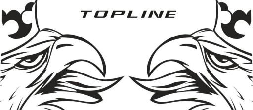 Наклейки шпон SCANIA TOPLINE_v23_green