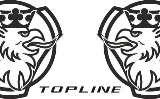 Наклейки шпон SCANIA TOPLINE_v28_green