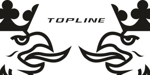 Наклейки шпон SCANIA TOPLINE_v30_green