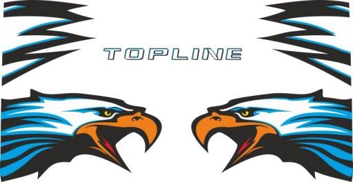 Наклейки SCANIA TOPLINE_v34_polimer_green