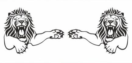 Наклейки _ _ MAN TGX TGA_v16_green