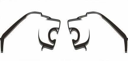 Наклейки _ _ MAN TGX TGA_v3_green