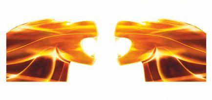 Наклейки _ _ лита плівка 3М _ _ MAN TGX TGA_v24_green