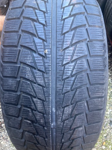 Nankang Snow Viva SV-1 245/45R18 100 В