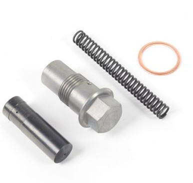 11318542060 - Натягувач ланцюга BMW R1200GS K50 / K51 оригінал