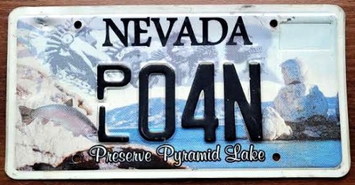 Невада - номерной знак США