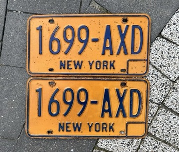 Нью-Йорк Нью-Йорк Старі номерні знаки США, комплект, пара
