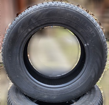 Nokian WR D3 195/65R15 M+S 2018 г. x2